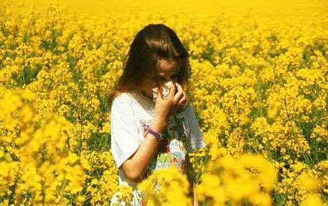 توصیه کارشناسان برای کاهش علائم تب یونجه