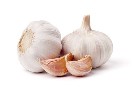 مصرف سیر پیری را به تأخیر می‌اندازد