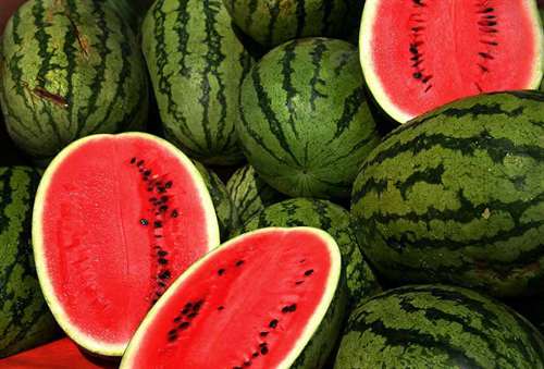  صادرات 208 میلیارد آب در شرایط بحرانی آب