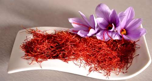 چگونه زعفران اصل را بشناسیم؟