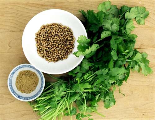 گشنیز: از سم‌زدایی تا کنترل دیابت