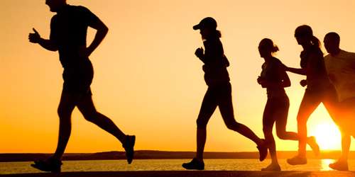 تاثیر بی تحرکی در تحلیل ماهیچه های بدن