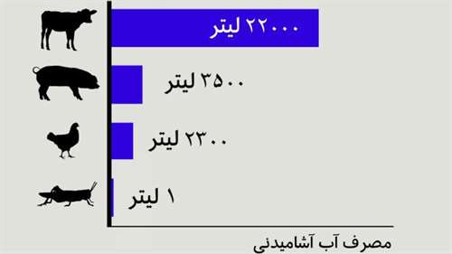 آیا خوردن حشرات می‌تواند کره زمین را از فاجعه نجات دهد؟
